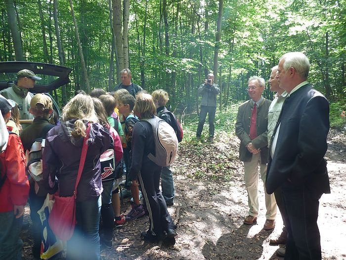 Waldjugendspiele begeisterten