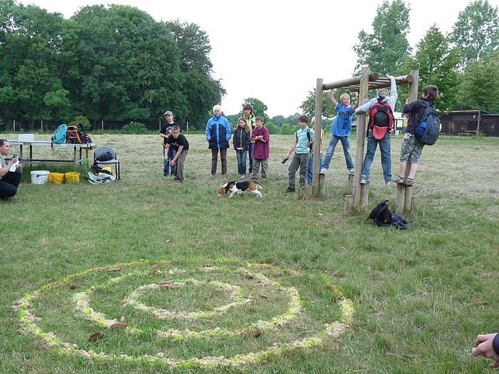 Waldjugendspiele begeisterten
