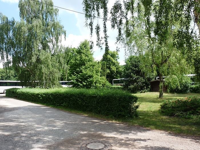 Waldjugendspiele begeisterten