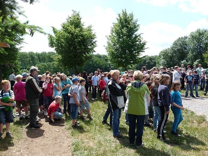 Waldjugendspiele begeisterten