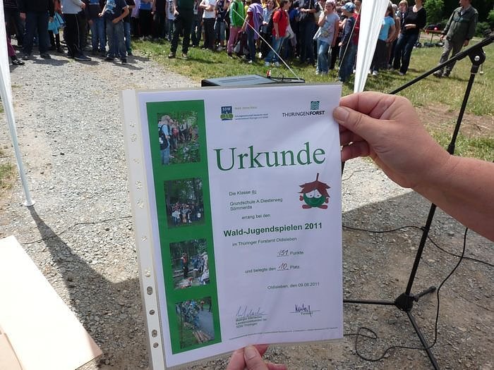 Waldjugendspiele begeisterten