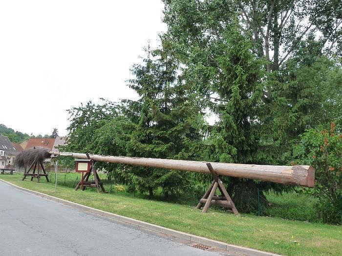 Laubk&ouml;nig gekr&ouml;nt