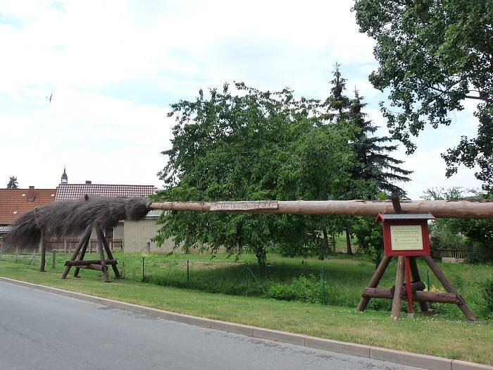 Laubk&ouml;nig gekr&ouml;nt