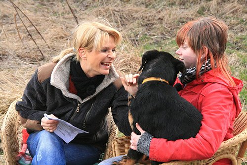 Tierheim im Schersental
