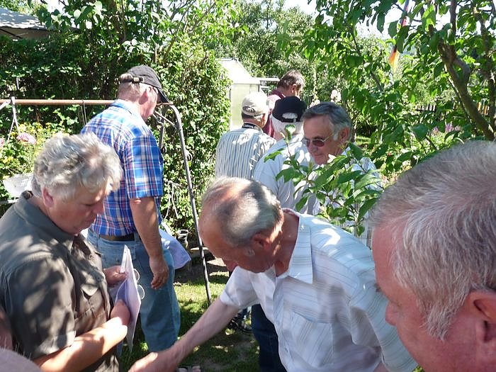 Bei Wettbewerb dabei