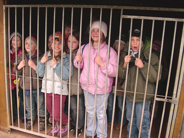 Im Gnadenhof mit dem JUST