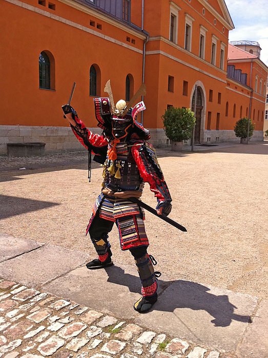 &Uuml;berraschungsgast