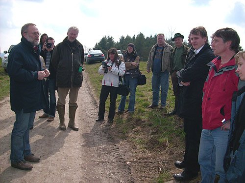 Abholzung am Kyffh&auml;user
