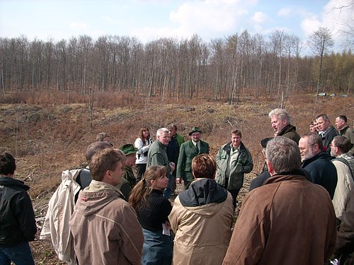 Abholzung am Kyffh&auml;user