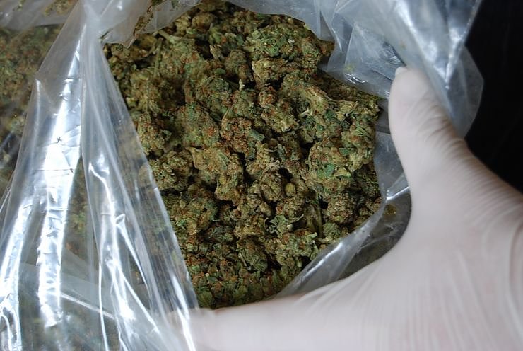 Beschlagnahmte Drogen