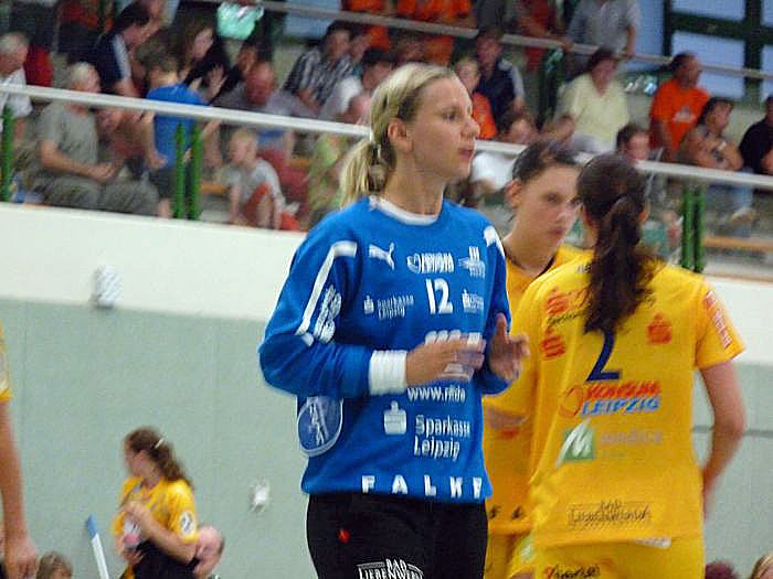 Werbung f&uuml;r den Handball