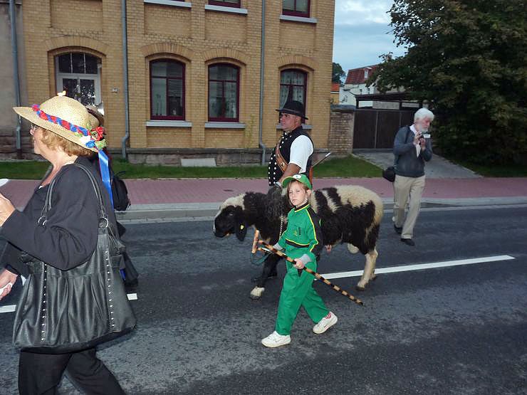 Bauernheer in Bad Frankenhausen