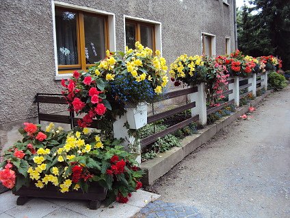 Blumenmeer Bad Frankenhausen