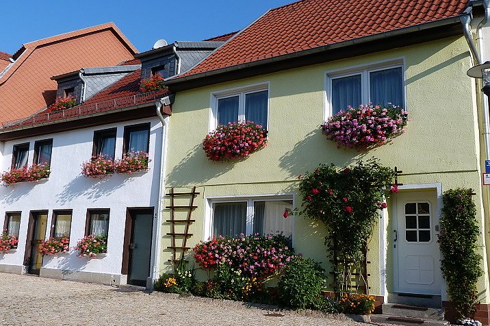 Blumenmeer Bad Frankenhausen