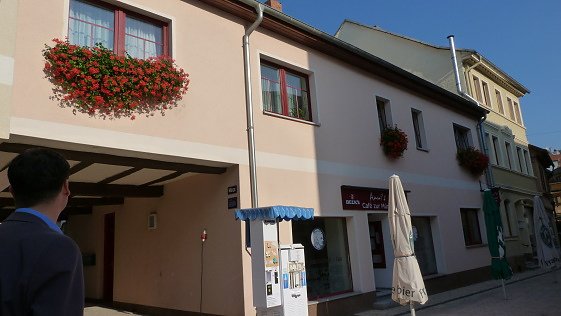 Blumenmeer Bad Frankenhausen