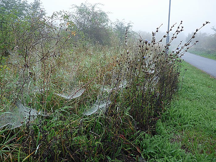 Natur genie&szlig;en