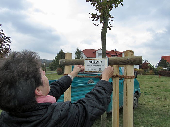 Jugendweihebaum in Bad Frankenhausen