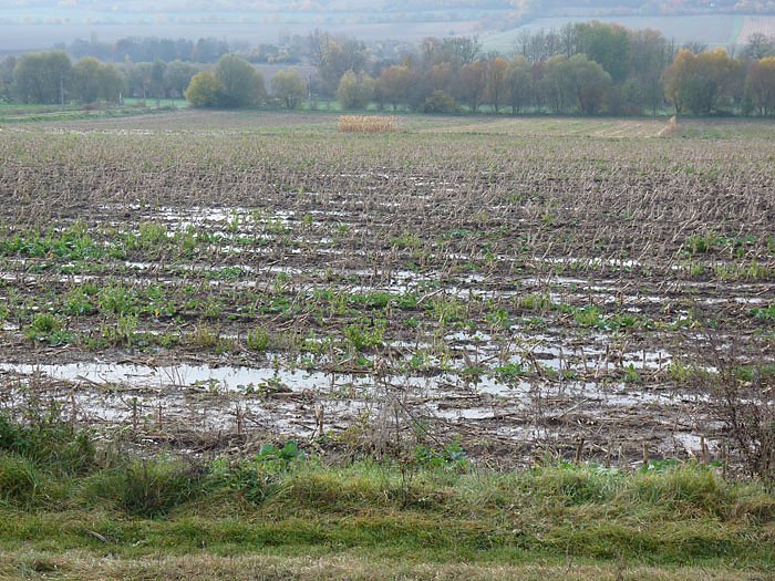 Hochwasser ohne Regen?