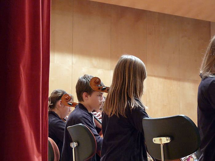 Vielf&auml;ltige Laienorchester