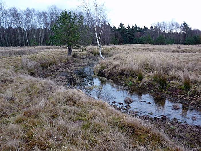 Mit 1.000 PS f&uuml;r die Natur