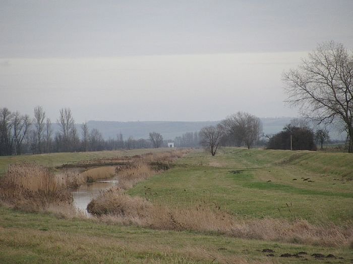 Gewaltige Unterschiede