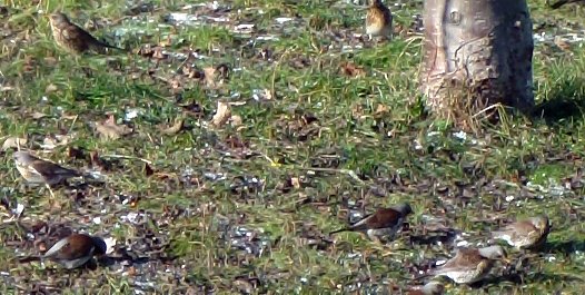 Unbekanntes Flugobjekt