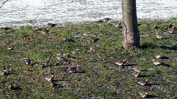 Unbekanntes Flugobjekt