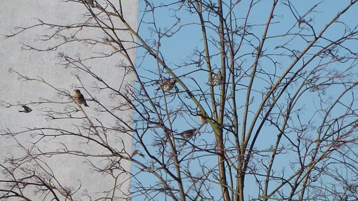 Unbekanntes Flugobjekt