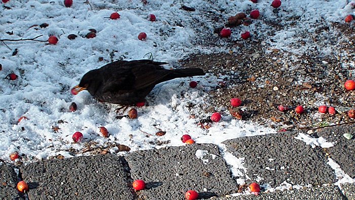Warum das und nicht das?