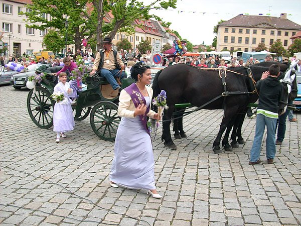 Wahl Fliederk&ouml;nigin