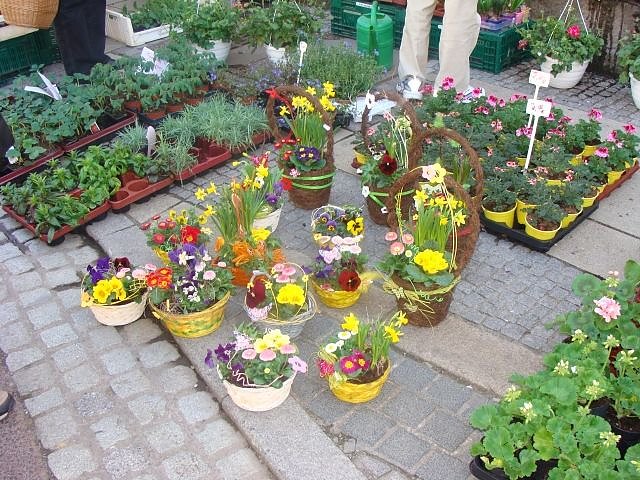 Sondersh&auml;user Ostermarkt