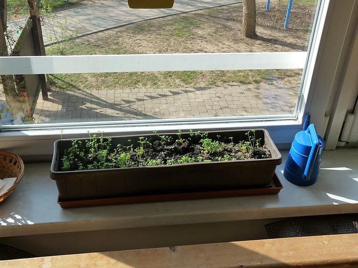 Wipperg&auml;rtchen besucht