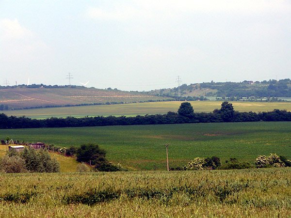 Kali an Unstrut und Finne