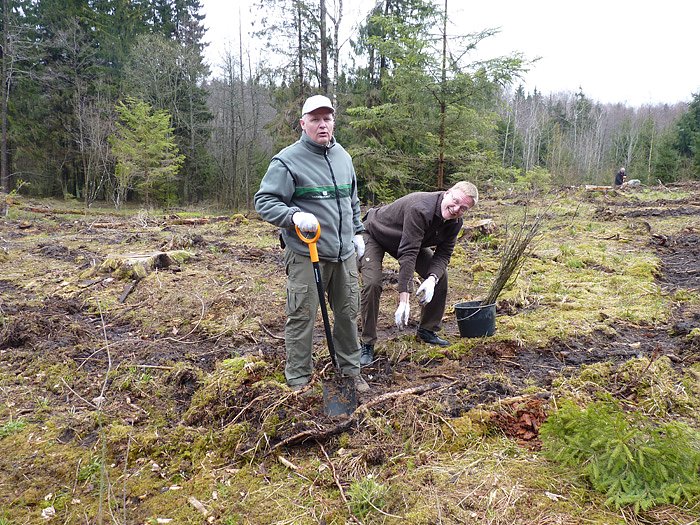 Internationale Baumpflanzaktion