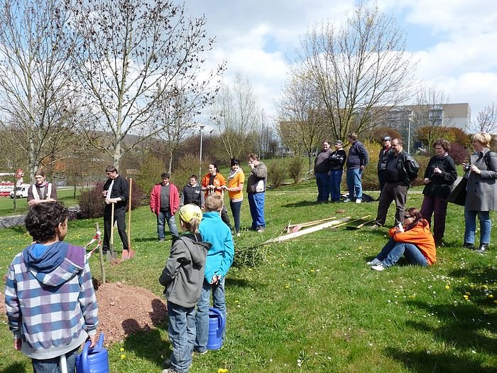 Baum des Jahres gepflanzt