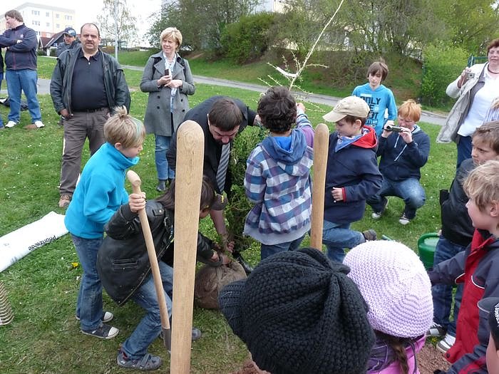 Baum des Jahres gepflanzt