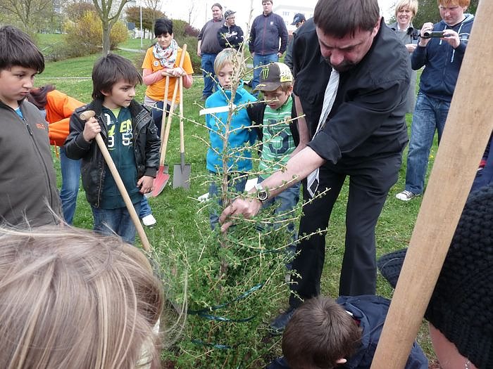 Baum des Jahres gepflanzt