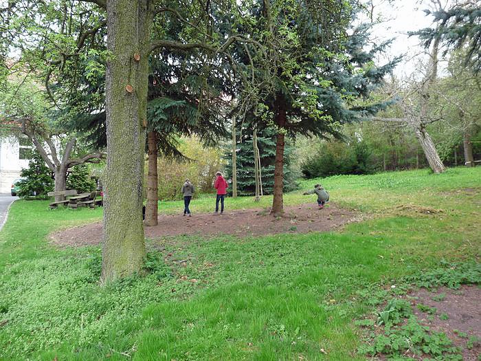 Spielerische Waldp&auml;dagogik