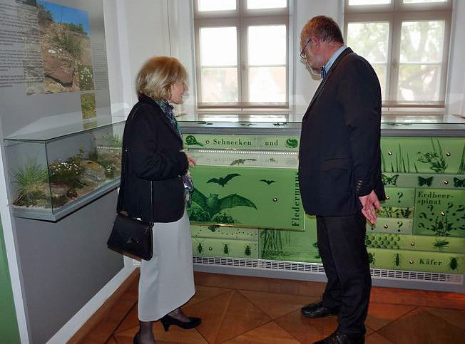 Neue Ausstellung geplant