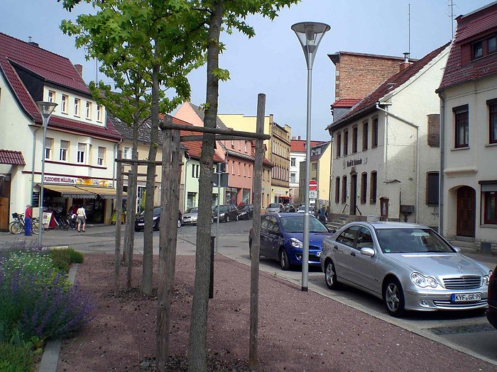 Artern ver&auml;ndert sich