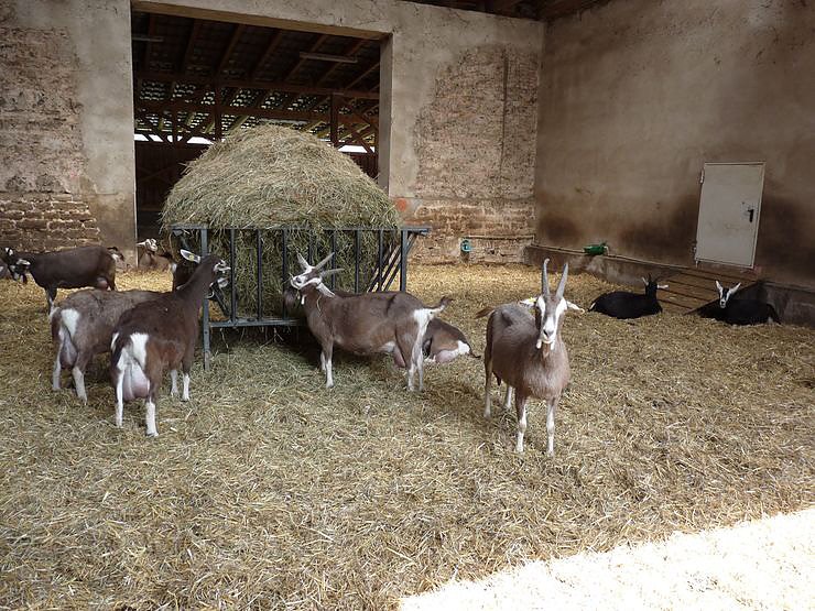 Welche Menschenmassen!