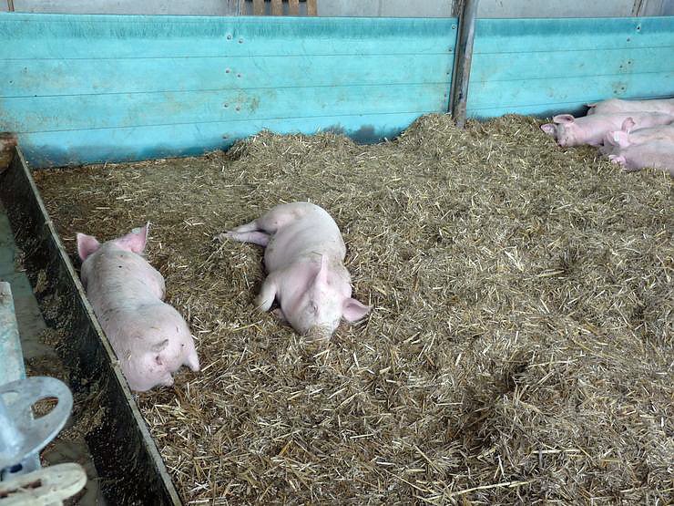 Welche Menschenmassen!