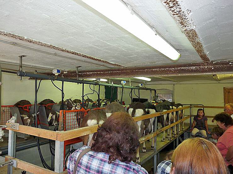 Welche Menschenmassen!