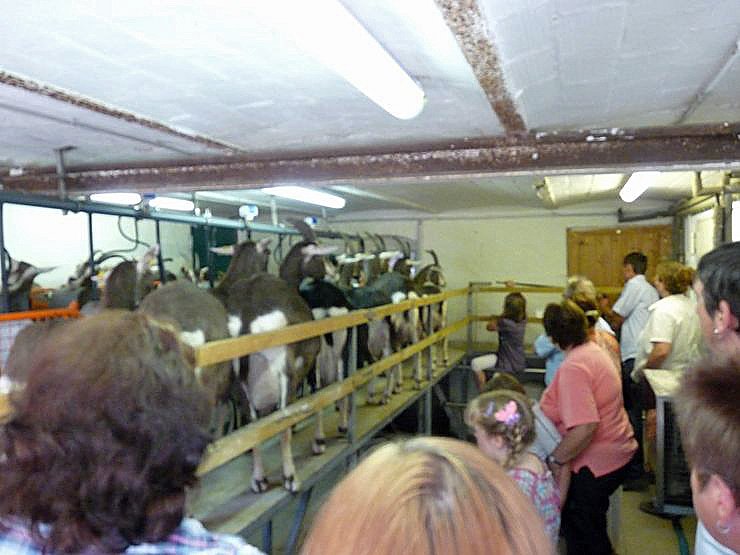 Welche Menschenmassen!