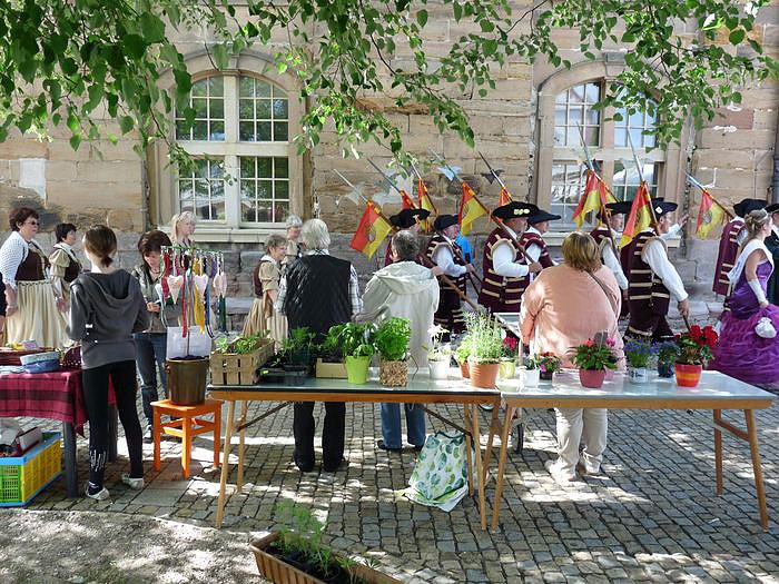 Alles f&uuml;r die Strobel-Orgel