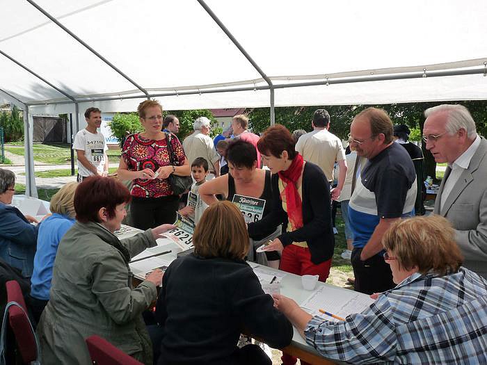 Alles f&uuml;r die Strobel-Orgel