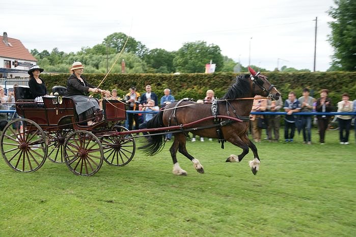 2. Th&uuml;ringer Traditionsgespannfahren Clingen