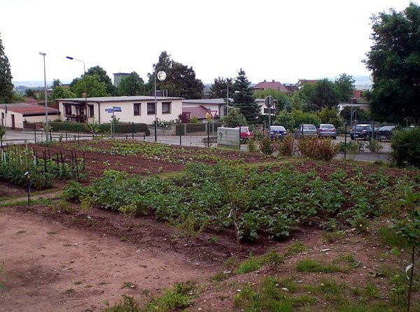 Grundschule "Am K&ouml;nigsstuhl"