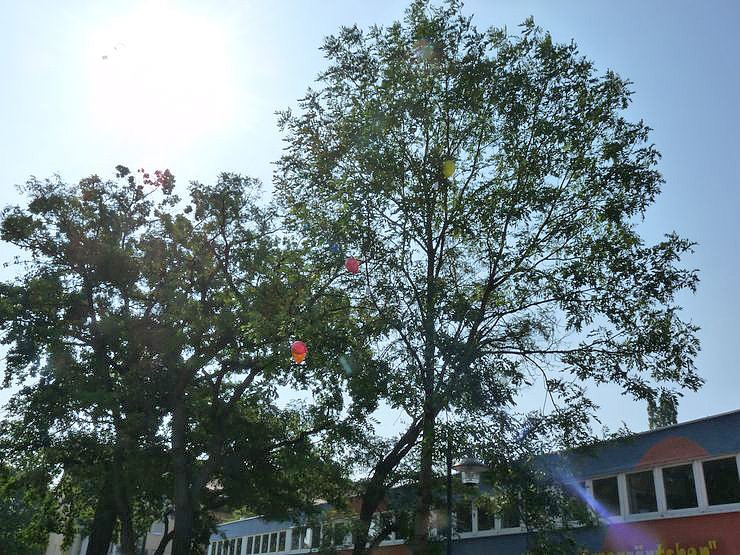 Erweiterungsbau &uuml;bergeben