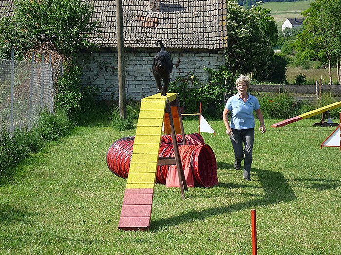 Ein Seminar mit "Mac"